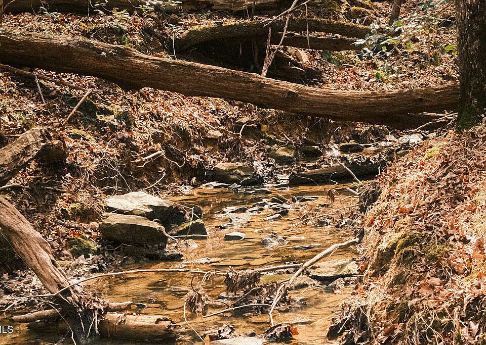 1st image of 0 Ferguson Rd