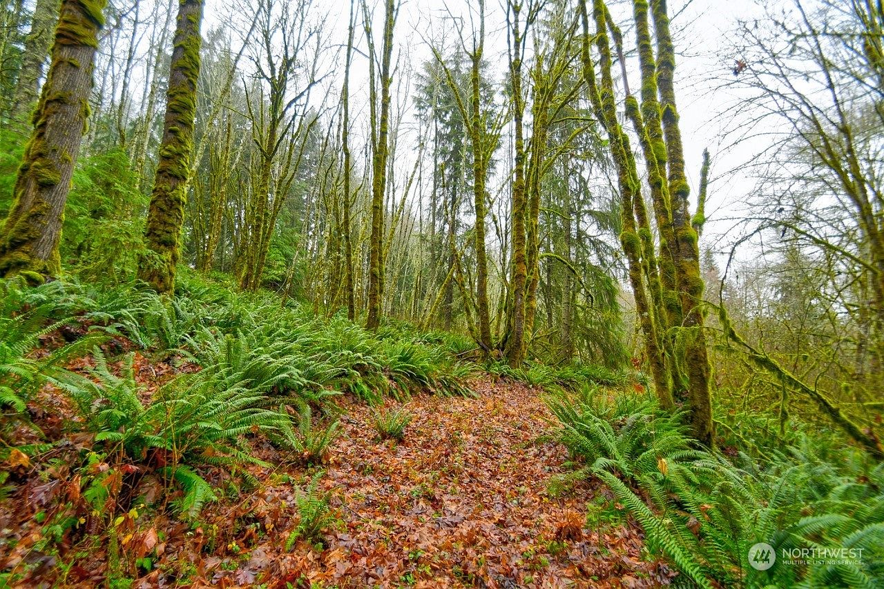 0 Crego Ridge Road, Adna, WA 98522 MLS 2185793 Zillow