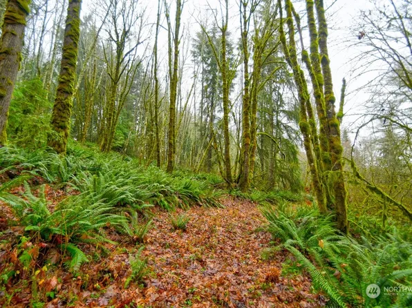 0 Crego Ridge Road, Adna, WA 98522