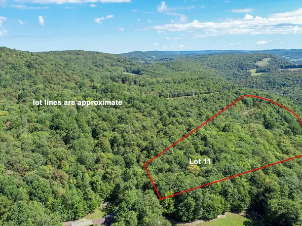 LOT 11 Turkey Run Rd, Accident, MD 21520