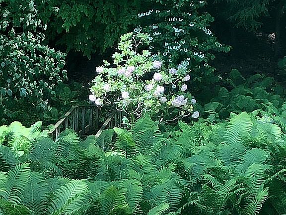 Back up to Corbett’s Glen