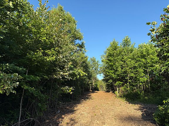 5th image of 0 Highway 301 Lot 3