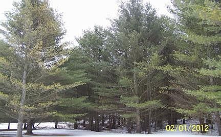 3rd image of 340 Hillside Dr