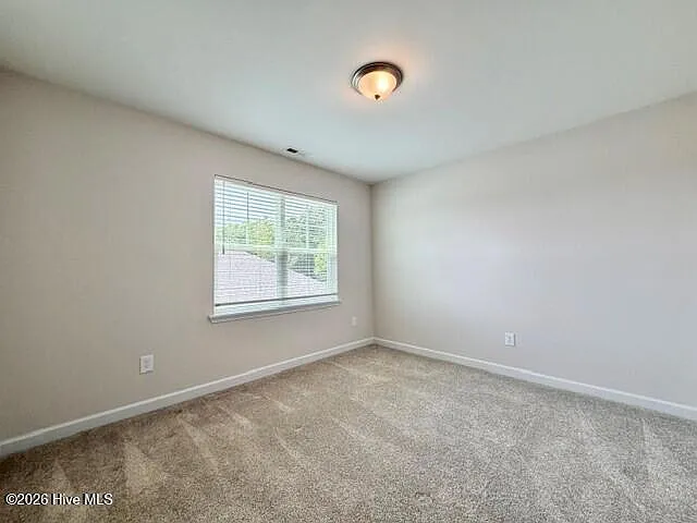 319 Cotton Hill Pl — Photo 22