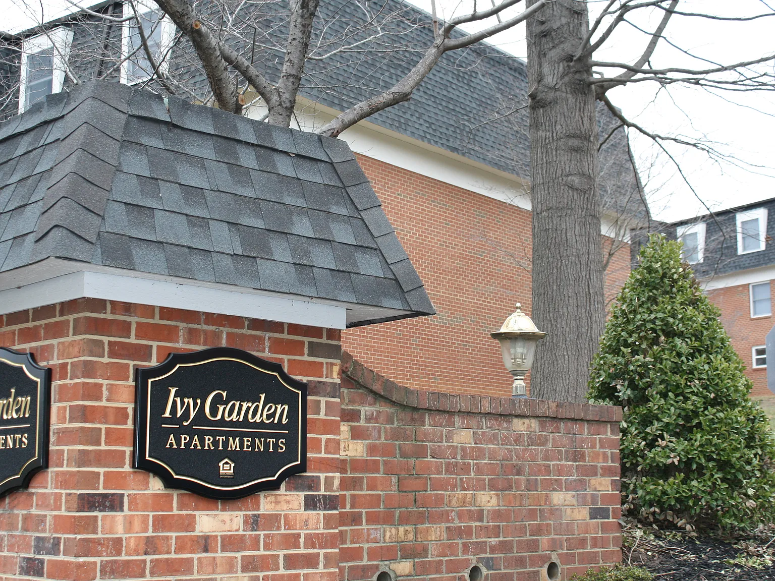 Ivy Garden — Photo 2