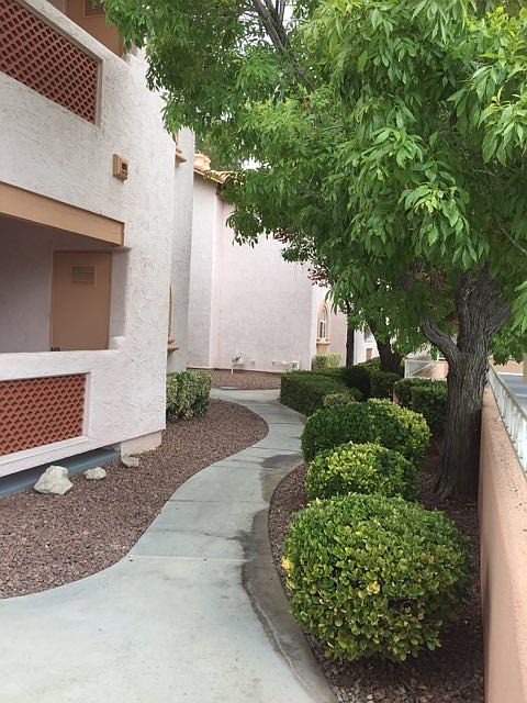1st image of 6800 Elm Creek Dr Unit 201