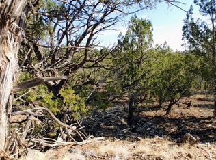 1849 Rocky Bottom Pl, Show Low, AZ 85901