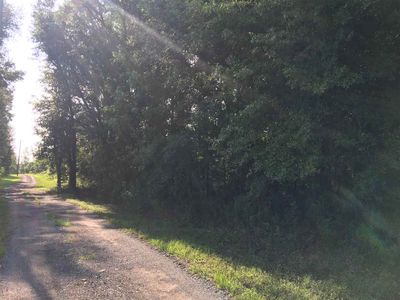 0 Robinson Farms Rd #0, Tallahassee, FL, 32317