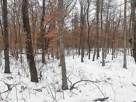 5th image of 859/ACRE S Lyndon Ln