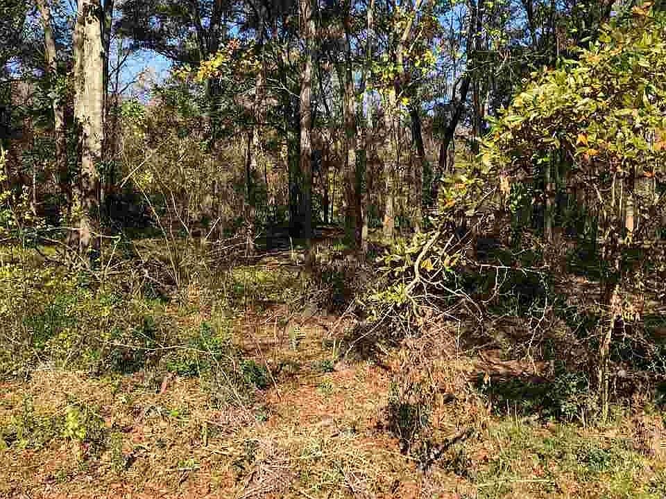 1st image of LOT 2 Ville Marie Rd