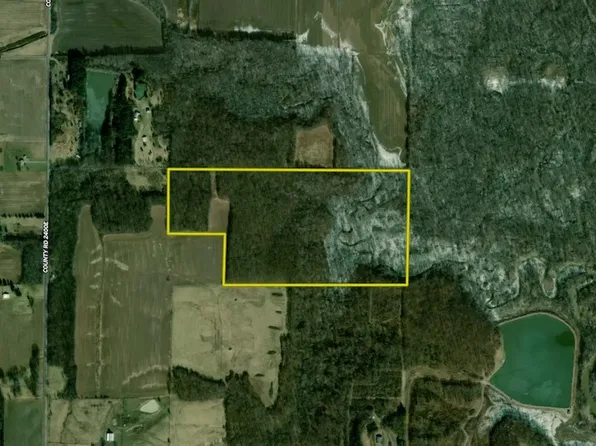 0 County Road 875 N, Fairfield, IL 62837