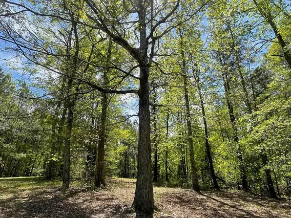 2305 County Road 620 #0, Roanoke, AL 36274