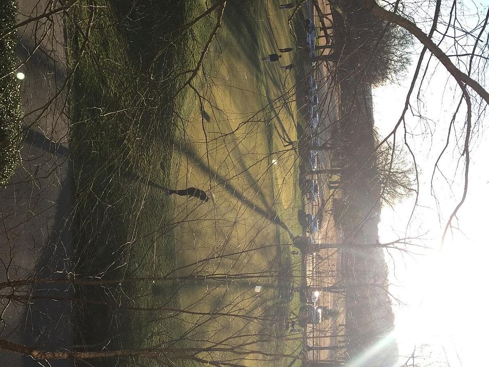 View from Balcony