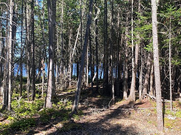 4th image of Lot S6 S Watson Island Road