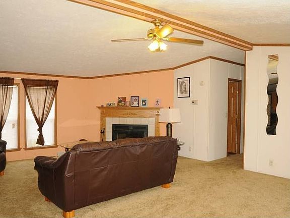 Wood Burning Fire Place