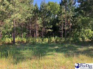 9820 Woods Bay Rd, Lynchburg, SC 29080