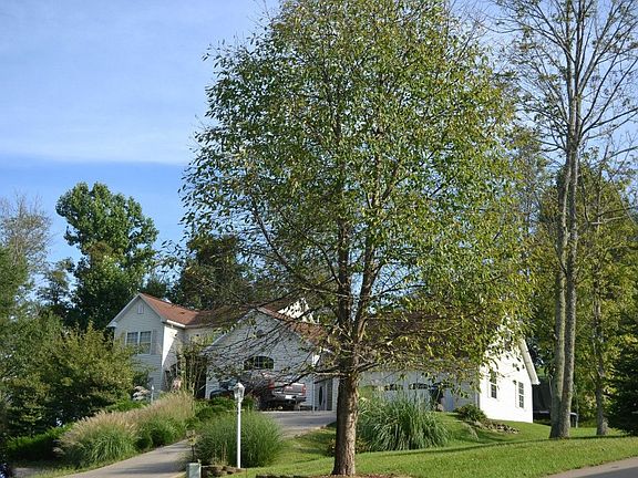 2nd image of 44 Poplar Dr