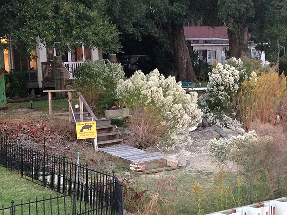 Natural shoreline transition