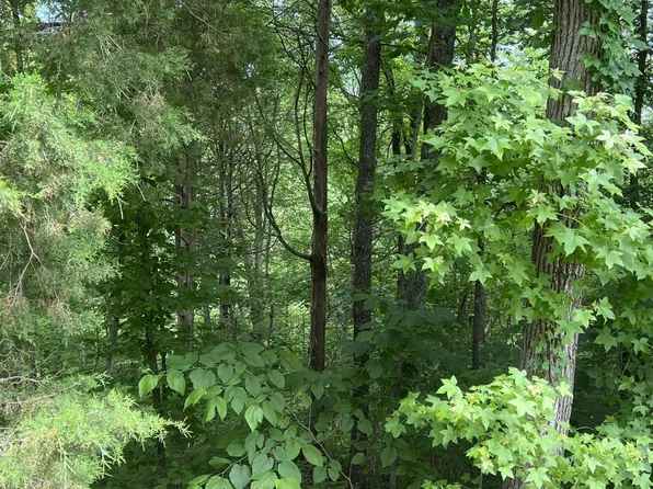Saddletree Rd, Camden, TN 38320