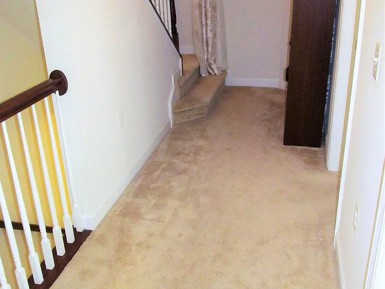 2511 Pascal Pl — Photo 13