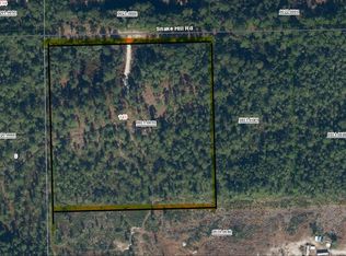 145 Snake Hill Rd, Crescent City, FL 32112