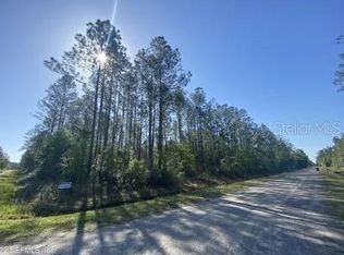 10700 Dillon Ave, Hastings, FL 32145