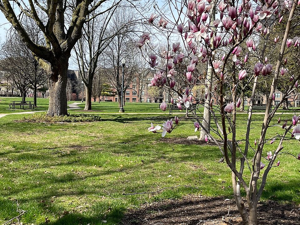 Topiary Park