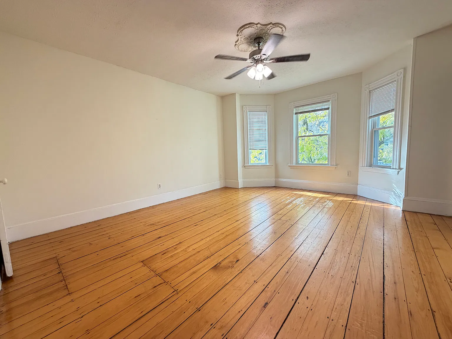 258 Cypress St — Photo 3
