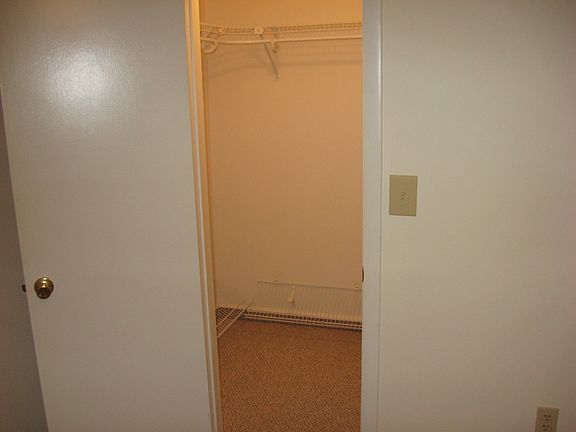 Walk-In Closet in Master Bedroom
