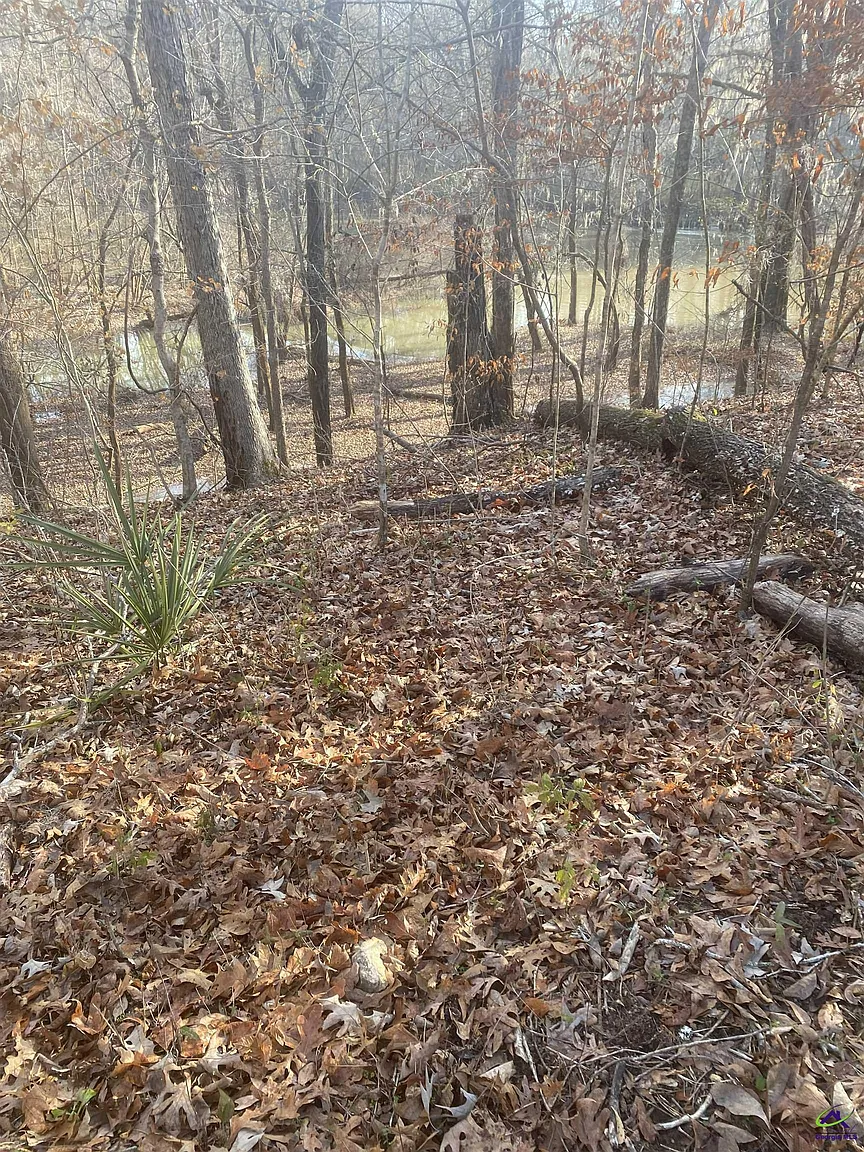 35 Charleston Cir photo 1