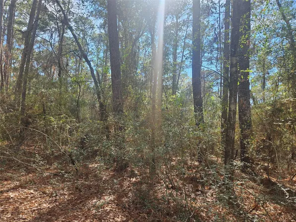 0 Indian Trail Dr, Hempstead, TX 77445