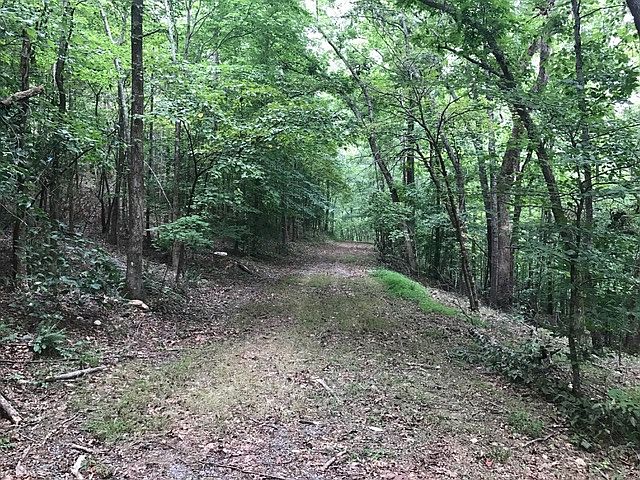 1st image of 551 Cowart Mountain Trl Lot 0