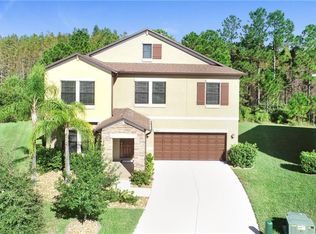 4469 Shrewbury Pl, Land O Lakes, FL 34638