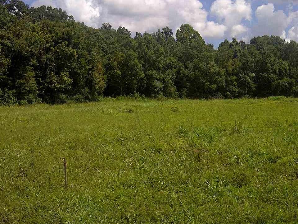 2nd image of LOT 3 W Worthy Rd