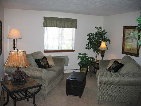 Inside photo 3 - LCV livingroom