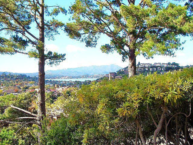 Bay and Mt. Tam views