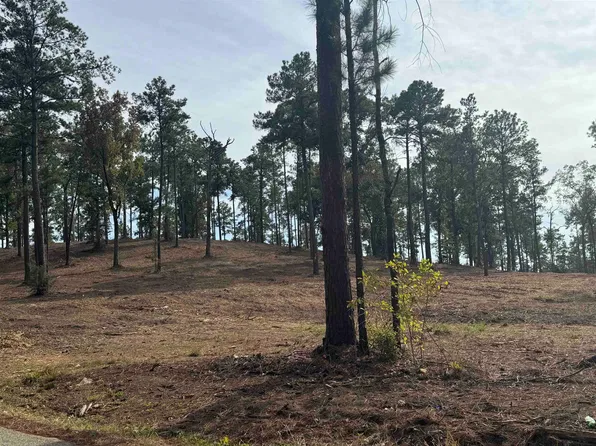 896 County Road 219, Brookeland, TX 75931