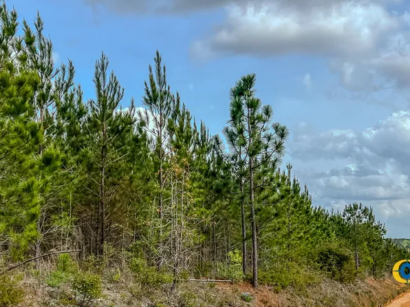 0 Big Beaver Creek Rd, Saint Matthews, SC 29135