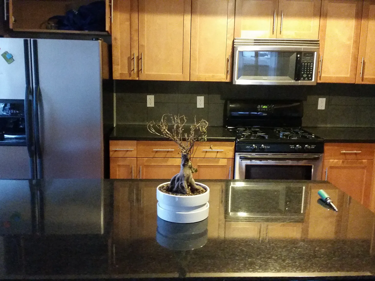 2 bed, 1450 sqft, $3,150 — Photo 2