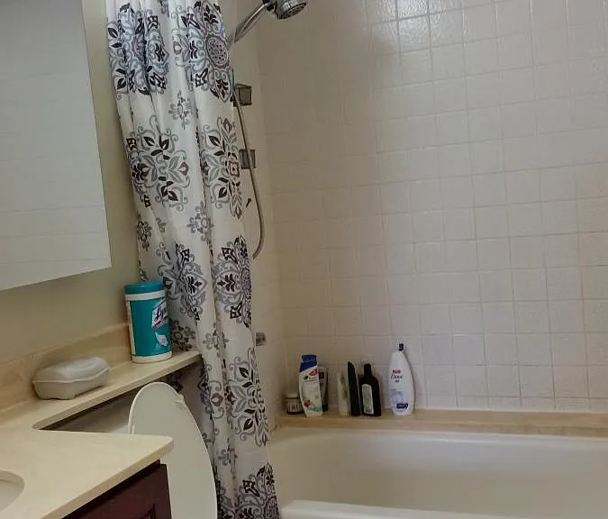 1778 Ala Moana Blvd #2517 — Photo 5