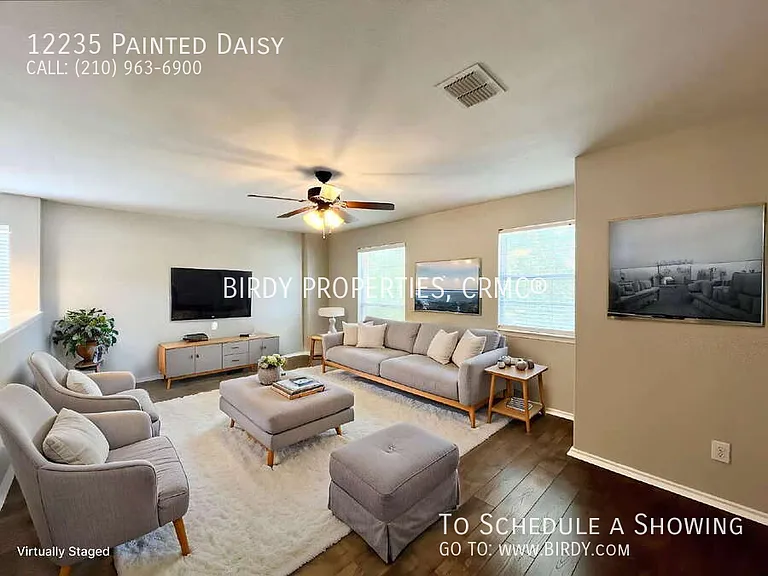 12235 Painted Daisy — Photo 6