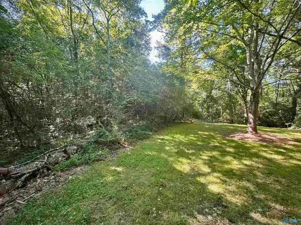 2.27 Union Grove Rd, Guntersville, AL 35976