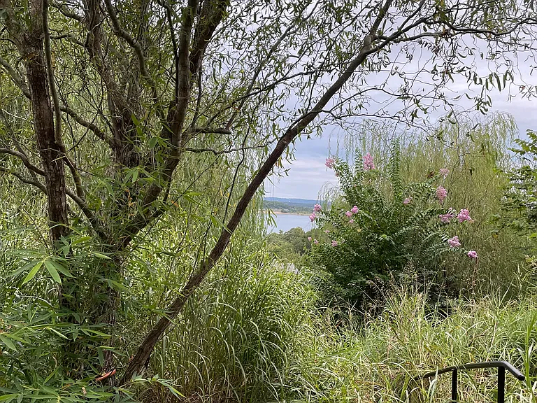 garden-scape surrounding property