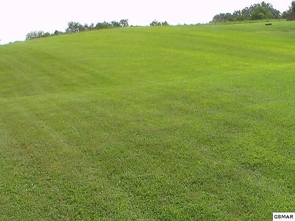 4th image of 28 River Run Cir Lot 28
