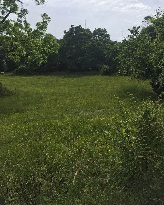 2nd image of 2790 Lealer Ln