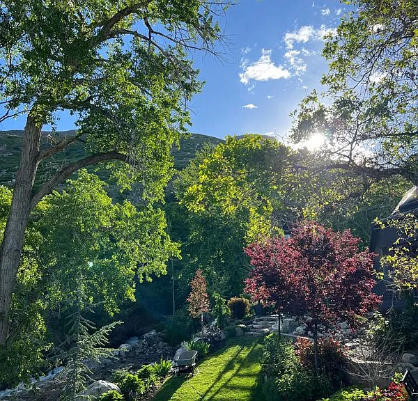 425 Lakeview Way — Photo 33