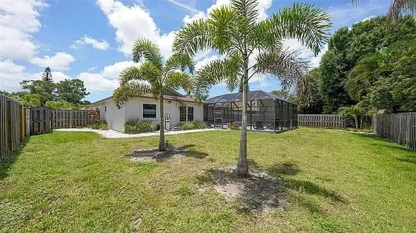 Back yard
