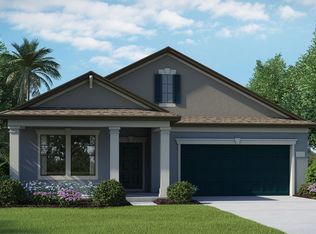 14254 Blue Dasher Dr, Riverview, FL 33569