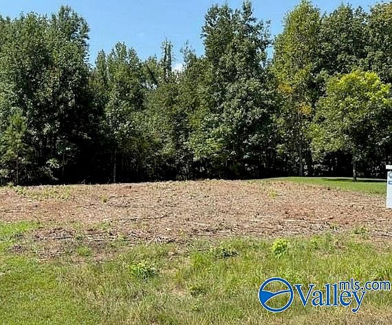 1st image of TRACT 1 Flanagan Rd