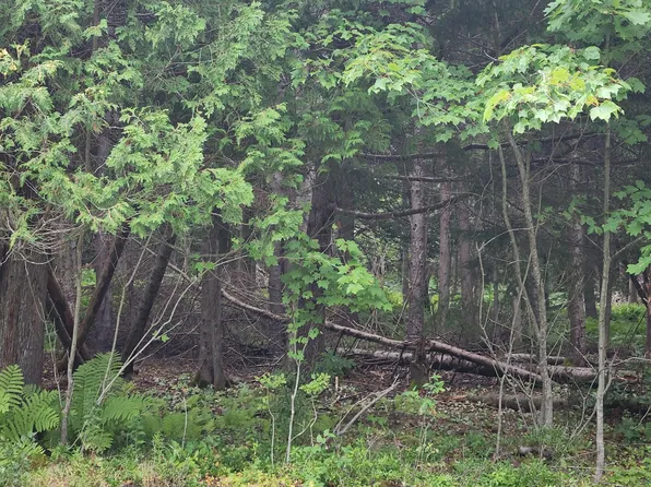 49 Black Road S, Searsport, ME 04974